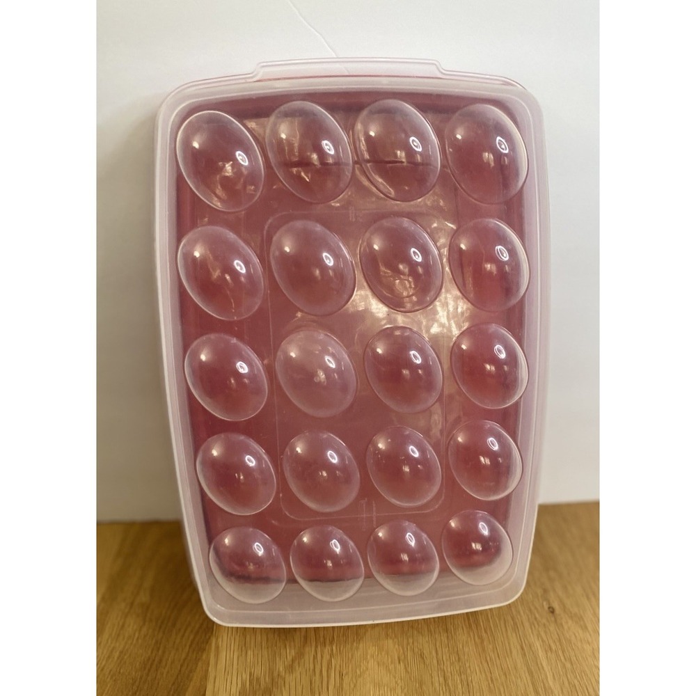 Rubbermaid Deviled Egg Container Holds‎ 20 eggs